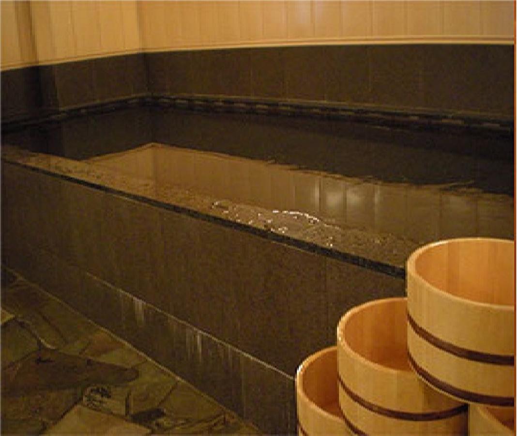 Niigata Park Hotel מראה חיצוני תמונה