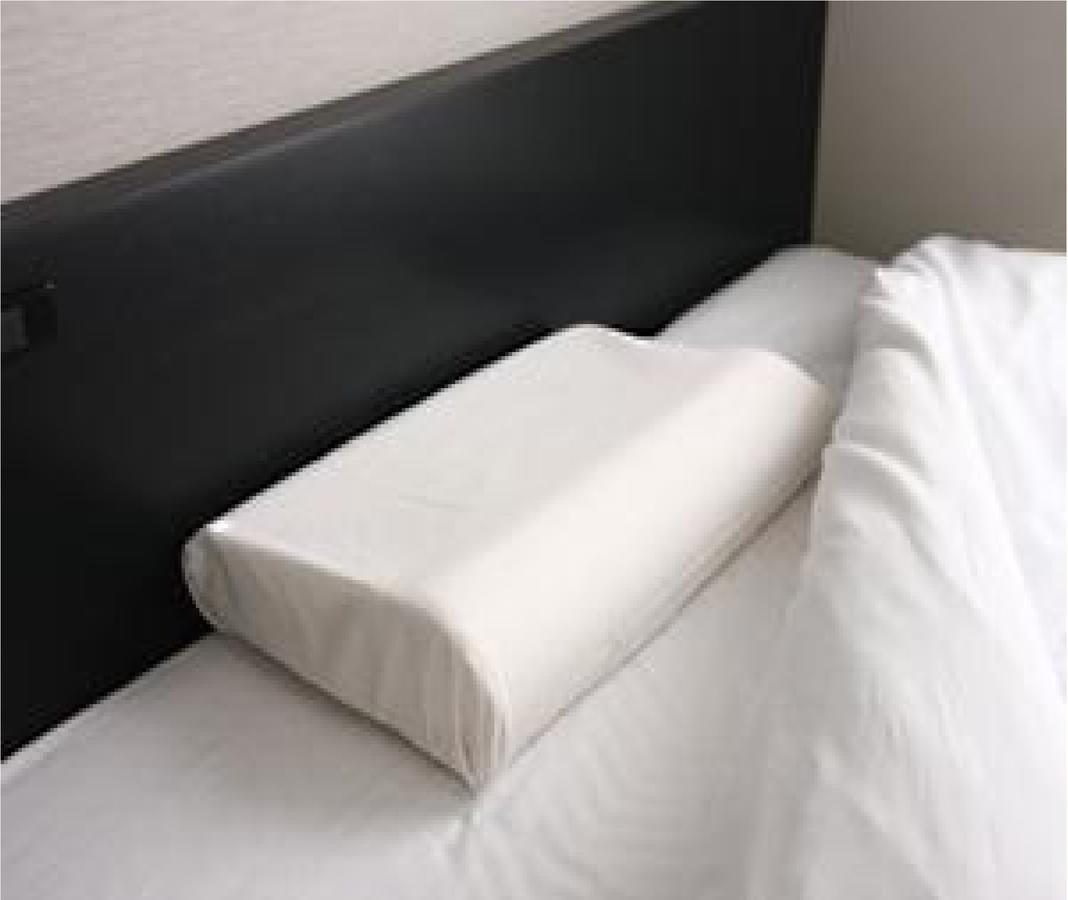 Niigata Park Hotel מראה חיצוני תמונה